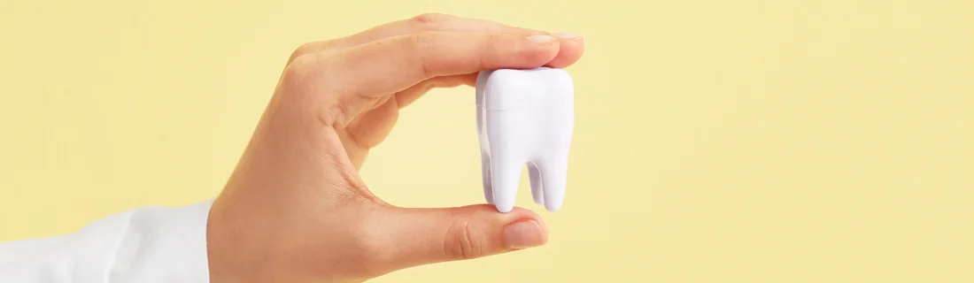 Services in Freeport ME